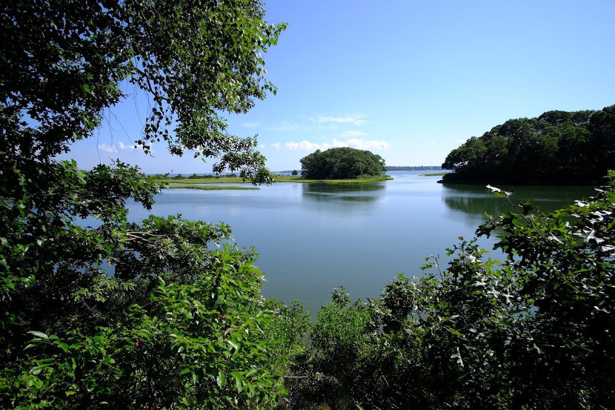 Locust Woods Preserve - Shelter Island Locust Woods Preserve - Shelter Island